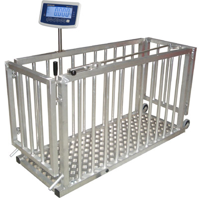 Datei:Viehwaage tierwaage.jpg